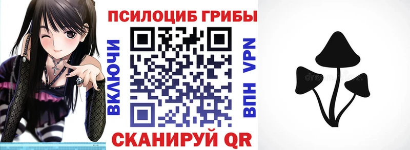Галлюциногенные грибы GOLDEN TEACHER  Купить где  Бугульма 